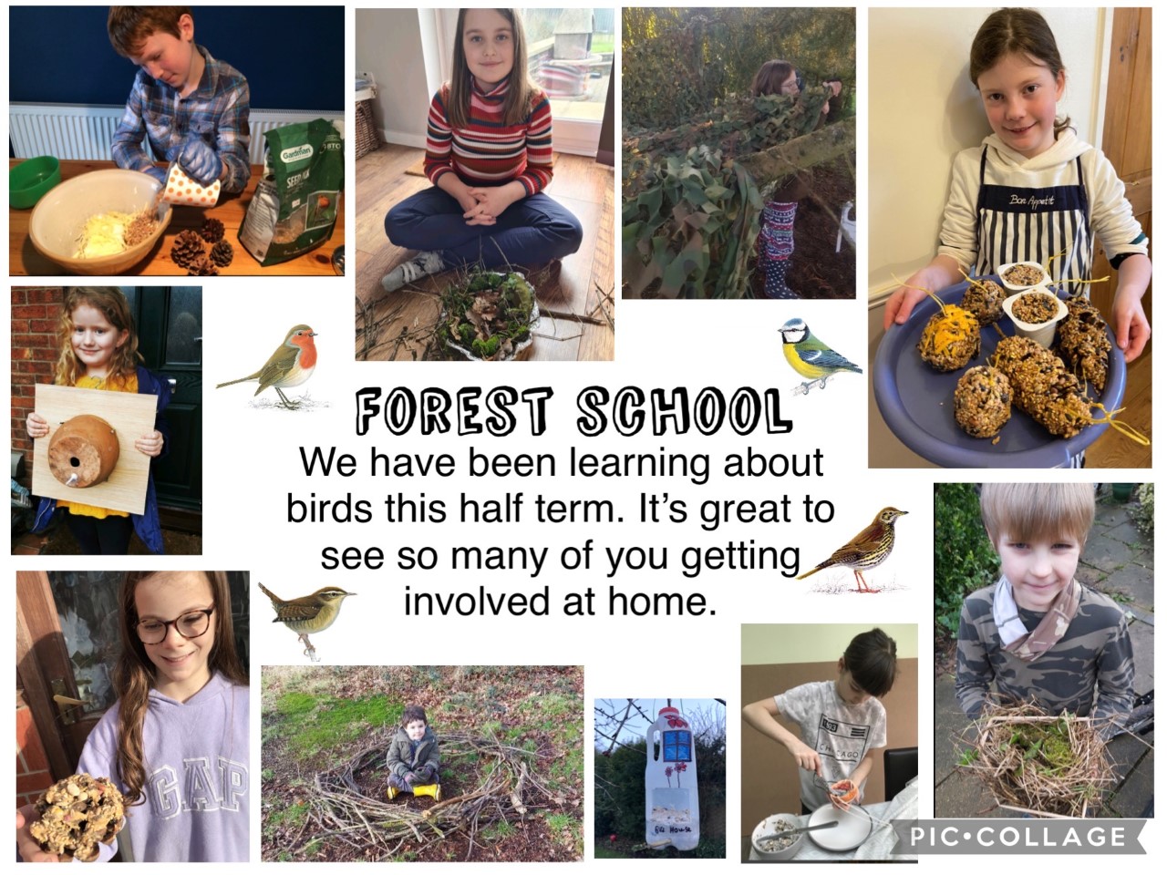 Forest School Forest School
