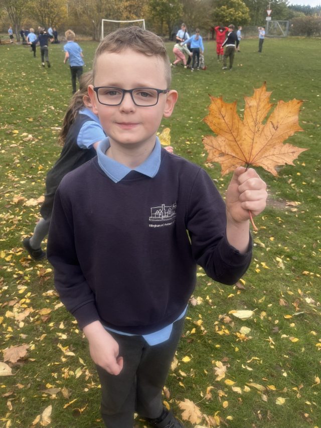 20251104_140140941_iOS