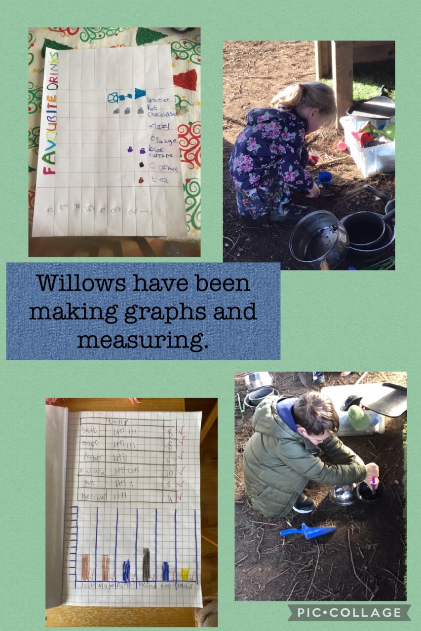 willows Feb 24 willows Feb 24