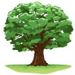 Oaks